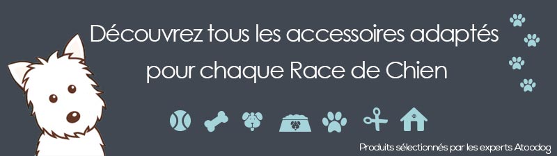 Bannière accessoires race de chien