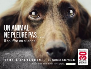 Campagne 2012 30 Million d'amis contre l'abandon d'animal de compagnie