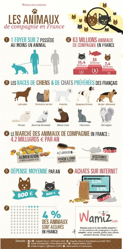 Infographie sur le marché des dépenses des animaux de compagnie en France 