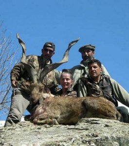 Braconnage Markhor