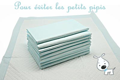 Papier Absorbant pour le transport de chien en voiture