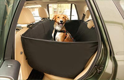 Protection pour chien en voiture