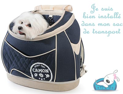 Sac de transport pour petit chien