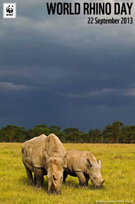 Journee mondiale des rhinoceros