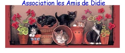 les amis de didie