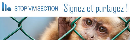 Pétition Stop Vivisection