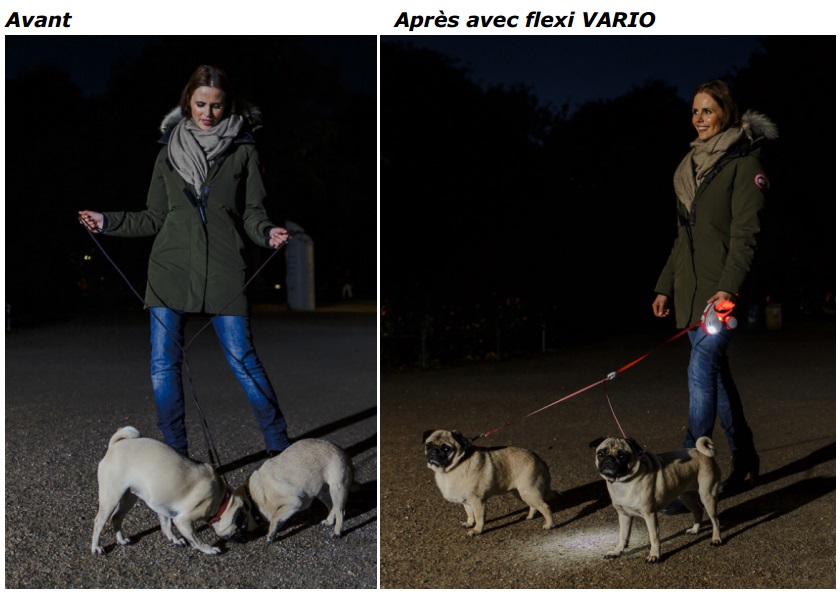 Laisse rétractable Sangle “Vario” FLEXI pour chien