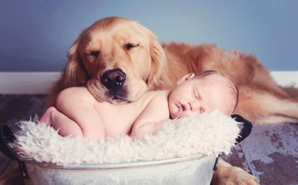 Chien et bébé