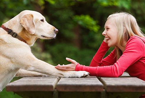 parler à son chien