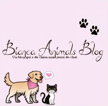 blog bianca