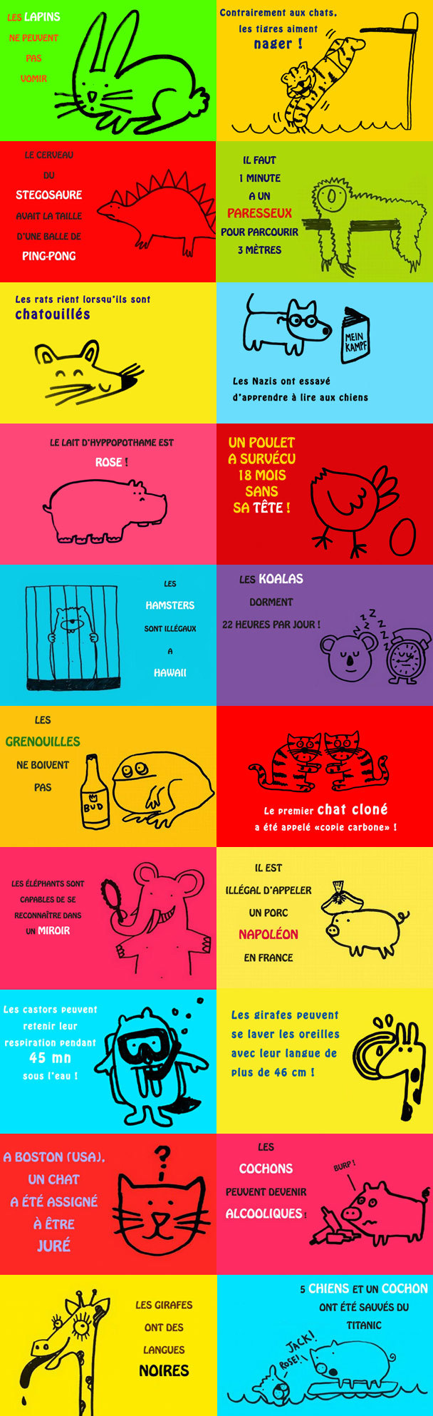 infos insolites sur les animaux