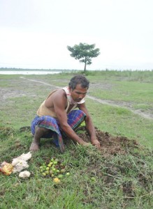 Un homme plante une forêt de ses mains