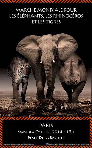 Affiche Marche pour les éléphants et les rhinocéros