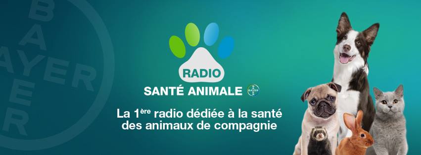 web radio sante animale