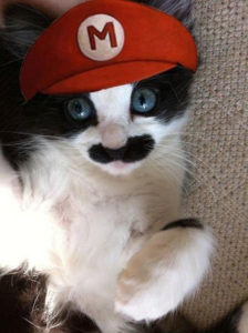 chat mario