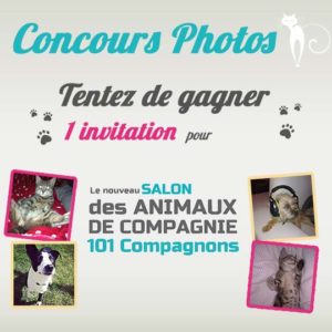 concours photo