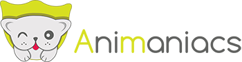 Chat, Chien, Animaux de compagnie et défense animale | Animaniacs