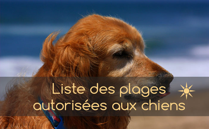 liste des plages autorisées pour chiens