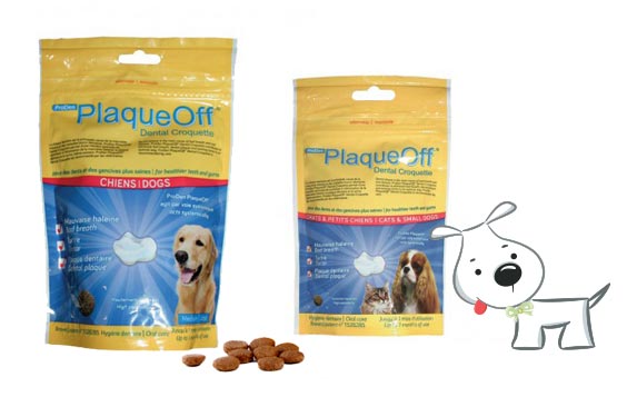 Complément hygiène dentiare pour chien