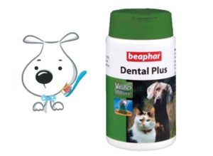 Dentifrice pour chien