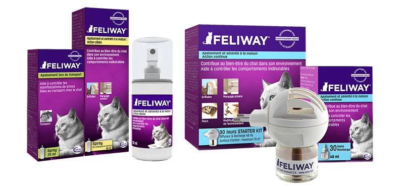 Gamme complète Feliway