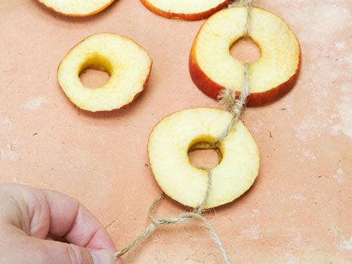 Chaine rondelles de pommes pour oiseaux