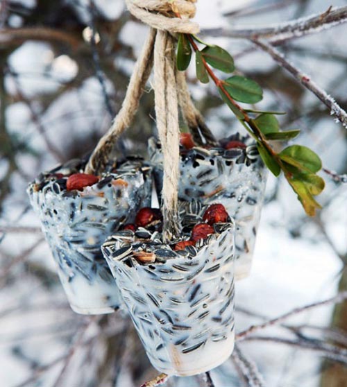 gateau de  graines pour oiseaux