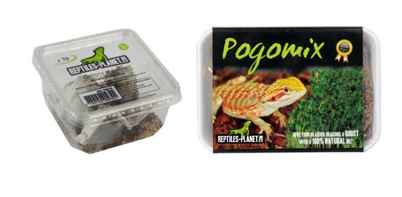 alimentation Agame barbu