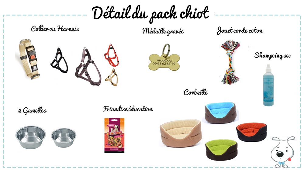 detail pack chiot