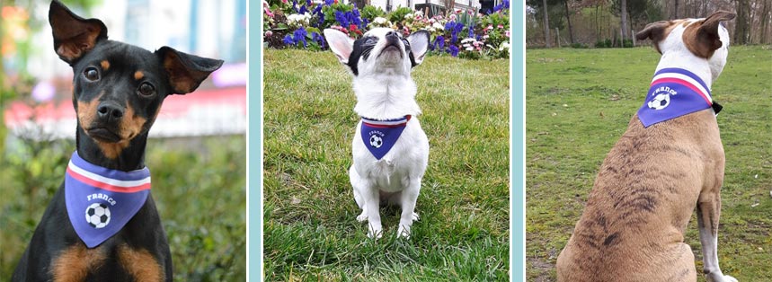 Bandana pour chien pour l'Euro 2016