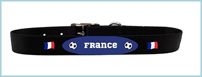 Collier de Chien supporter de la France