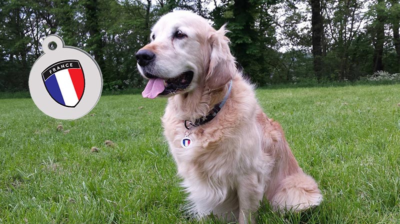 Médaillon pour chien supporter de l'Euro 2016