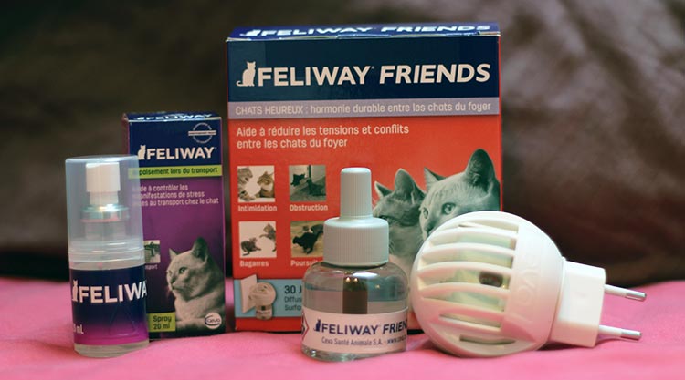 Feliway