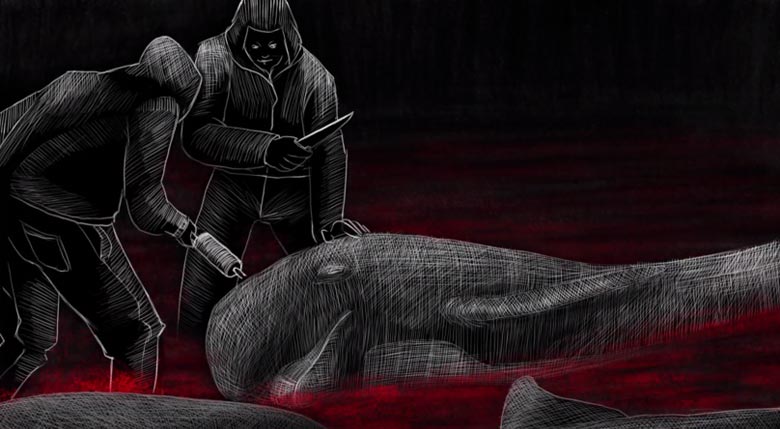 grindadrap massacre baleine