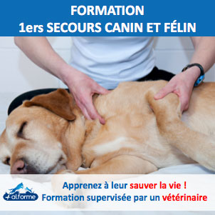 Trousse de premiers secours chien et chat - Alforme