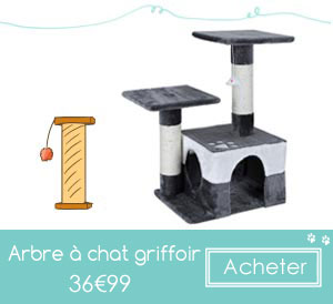 arbre chat griffoir