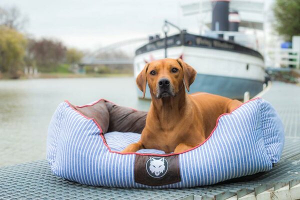 panier lit pour chien