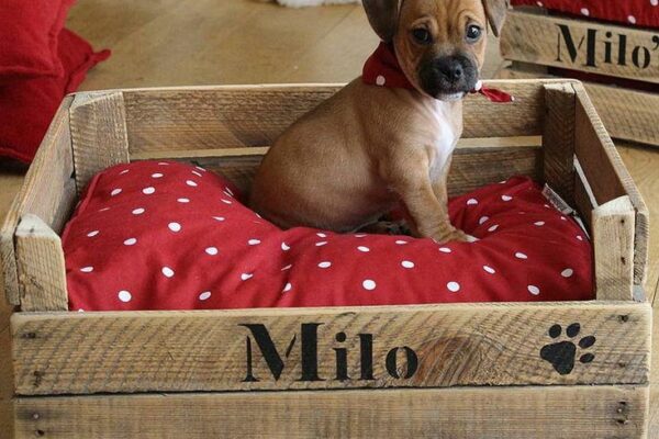 Panier pour chien en bois recyclé