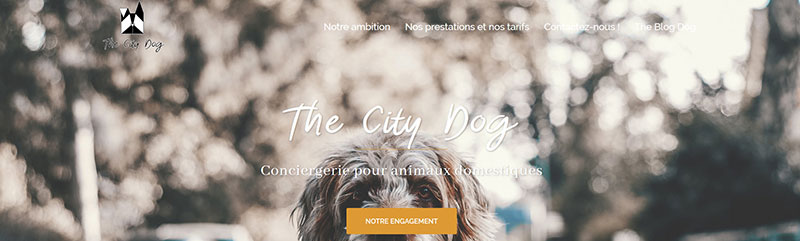 thecitydog