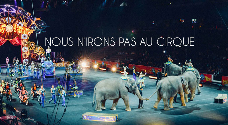 animaux du cirque
