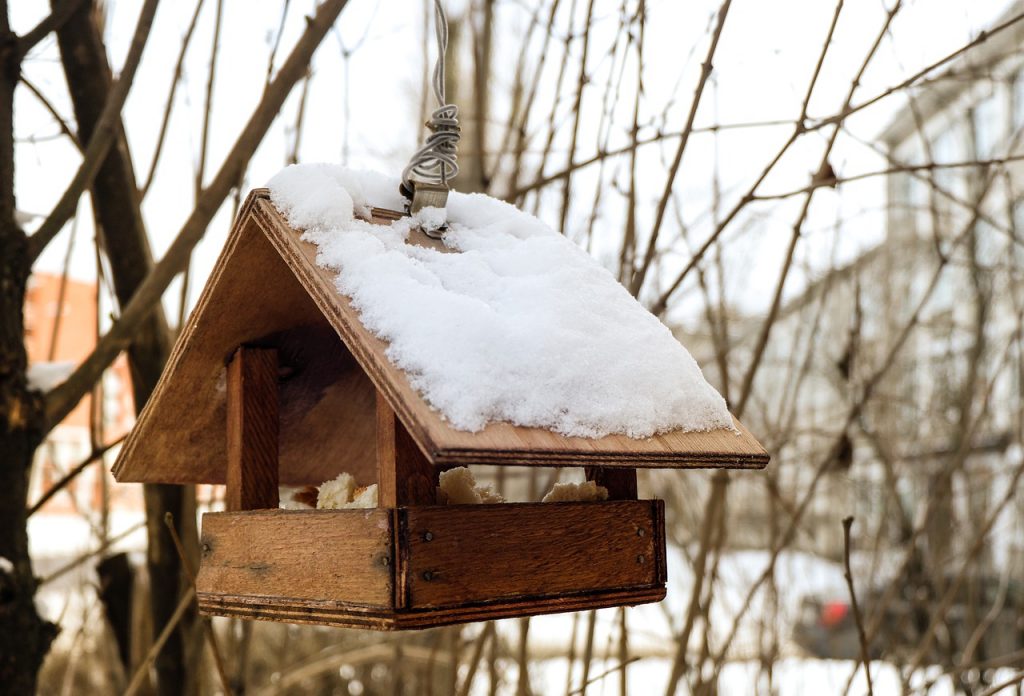 nichoir à oiseaux