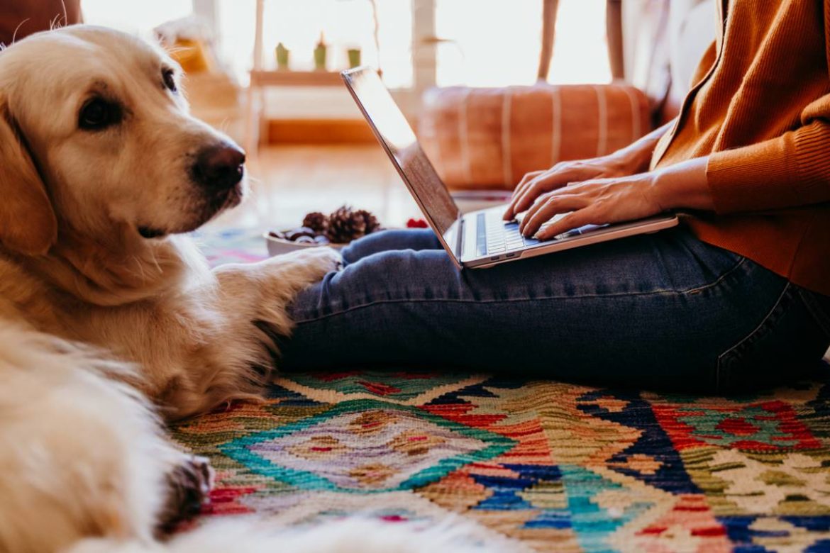 technologie avec animaux