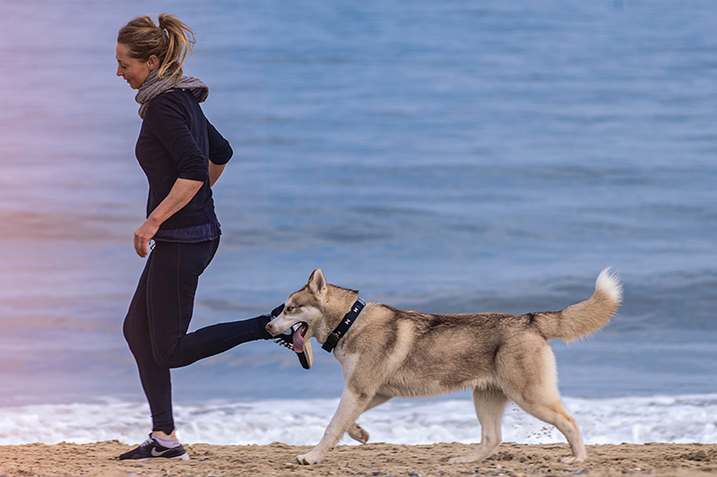 Courir avec son chien