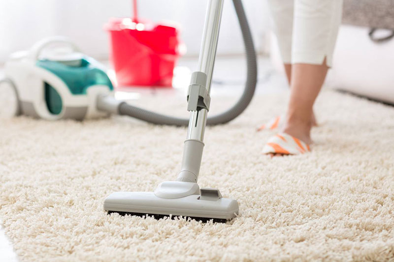 Aspirateur pour entretien de la maison avec animaux