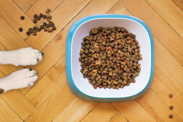 Alimentation pour chien