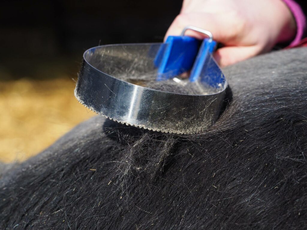 étrille métallique pour cheval