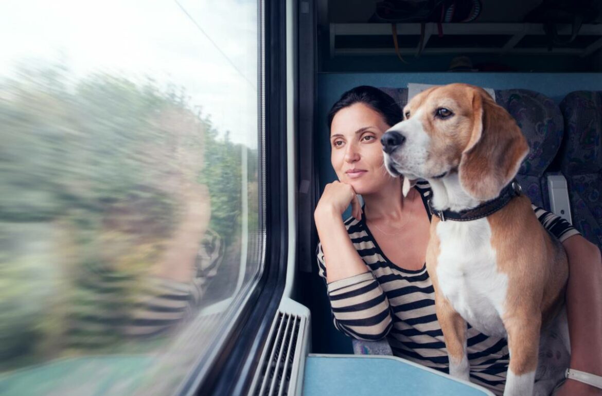 voyager en train avec son animal