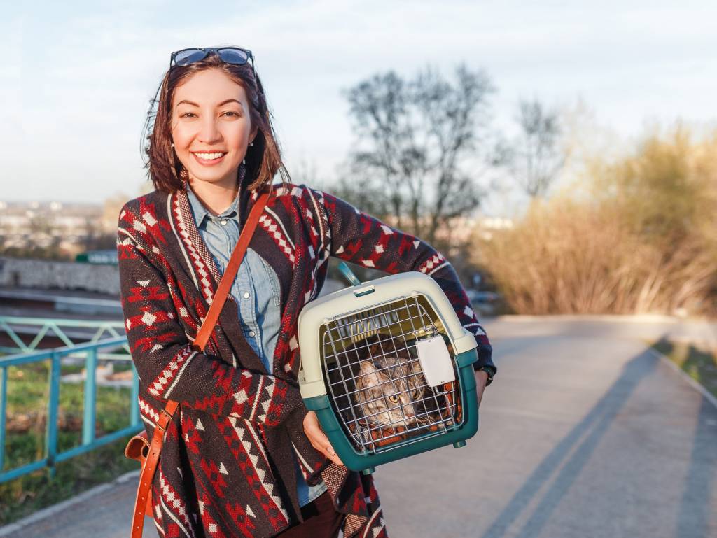 voyager en train avec son chat