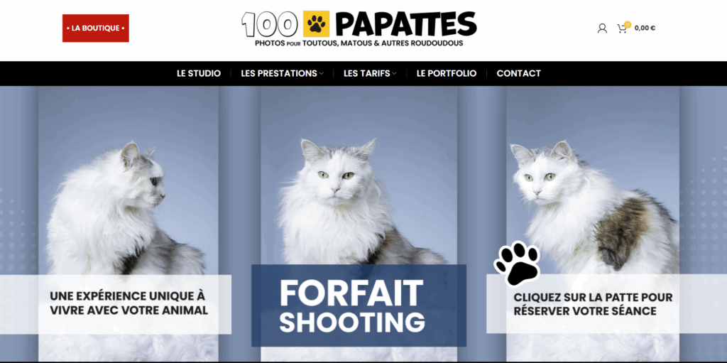 100patattes.fr