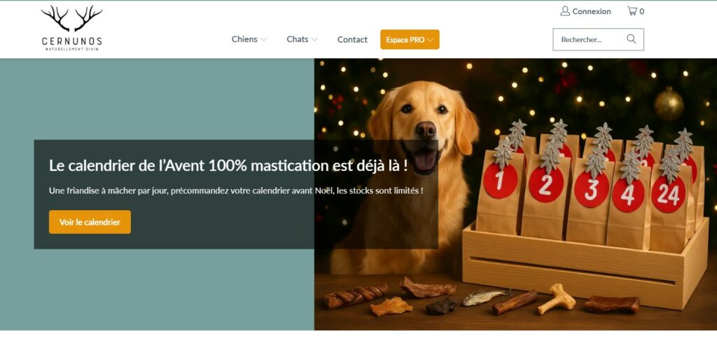 Site internet de Cernuros